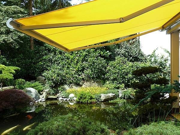 Gelbe Markise spendet Schatten über gepflegtem Gartenteich mit üppigen Pflanzen.