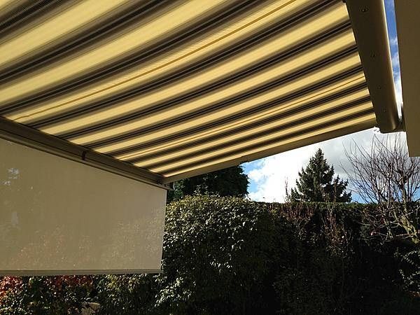 Gelb gestreifte Markise spendet Schatten auf Terrasse mit Blick in einen grünen Garten.